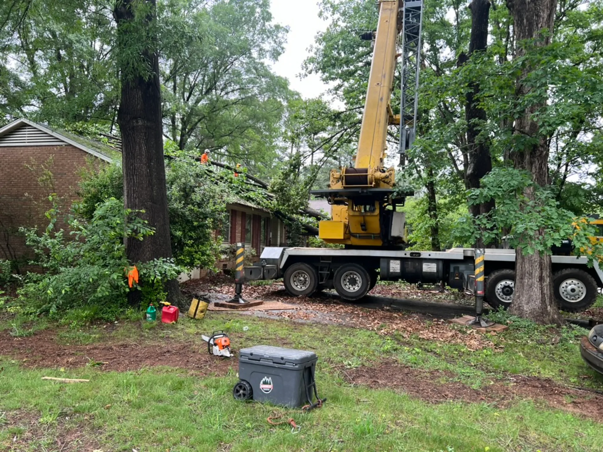 Swift Response to Storm-Damaged Oak Tree in Mooresville with Earnest ...