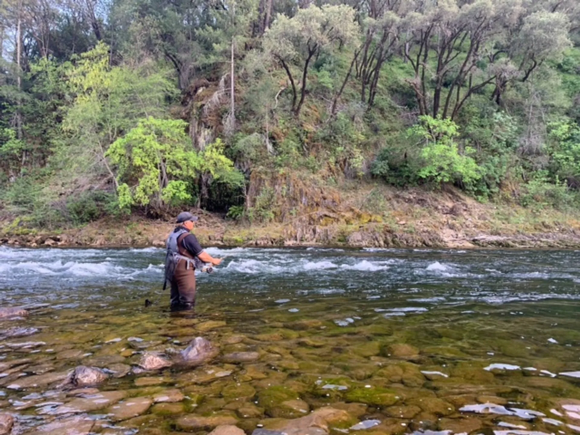 Fishing the South Fork of the American River 