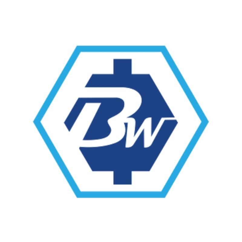 Bless Web Designs - Dallas