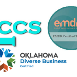 Life Connections Counseling Services, LLC