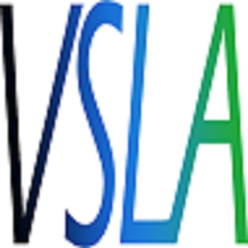 V.S.L.A.