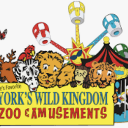 York's Wild Kingdom
