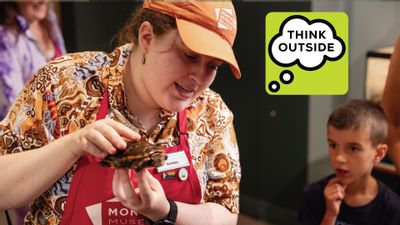 Think Outside: Animal Feeding