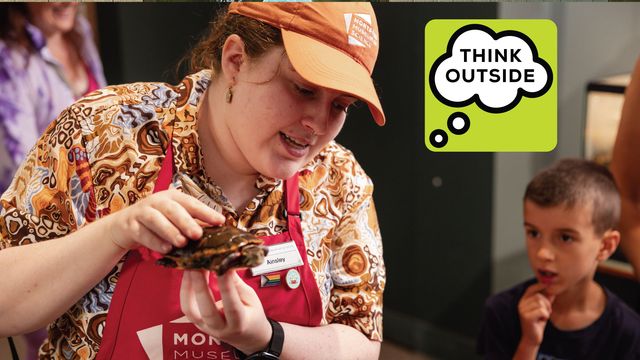 Think Outside: Animal Feeding
