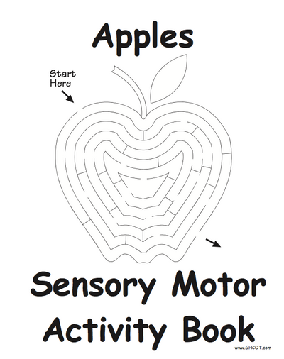 sensory motor function