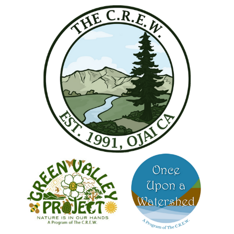 The C.R.E.W.
