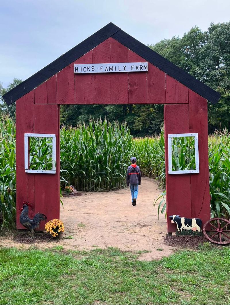 corn maze entrance