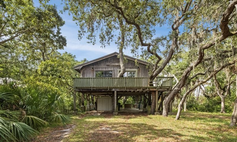 Annie's Treehouse