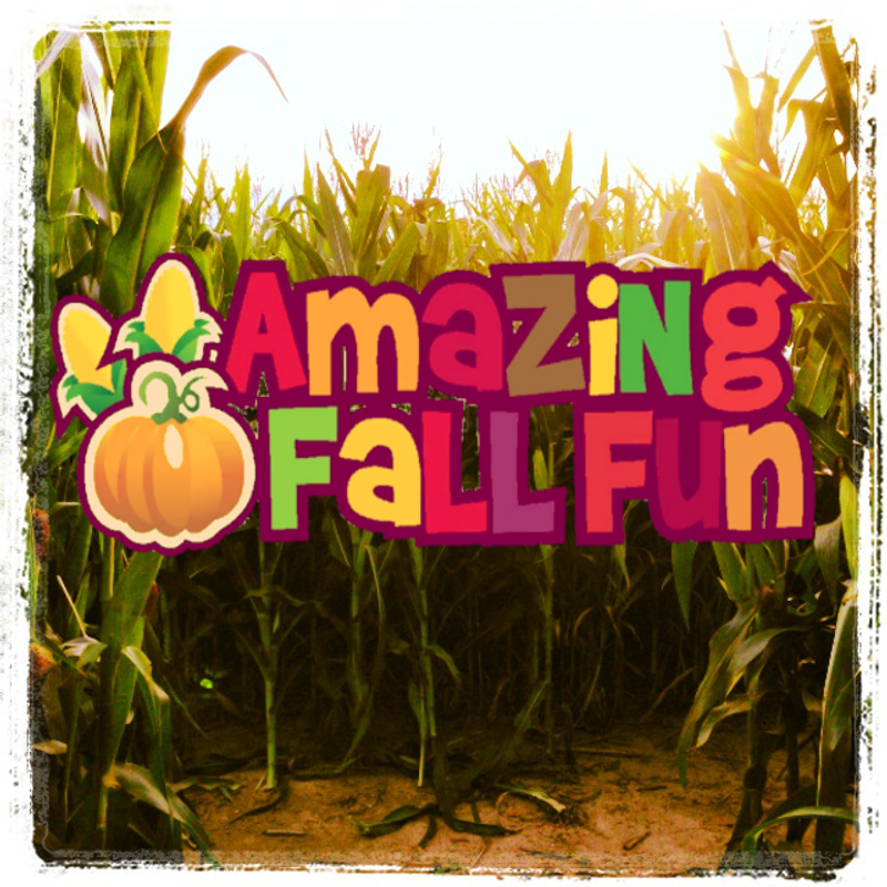 Amazing Fall Fun	