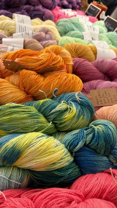 First Stitches: An Introduction to Knitting