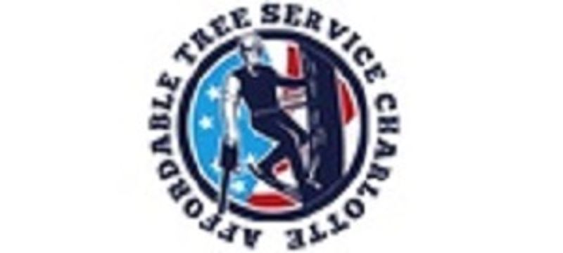 Affordable Tree Service Charlotte