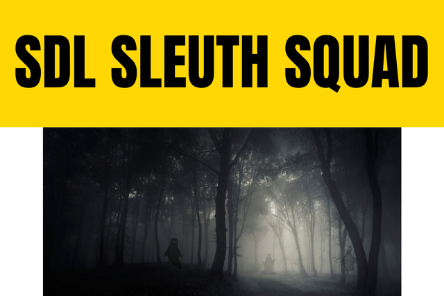 SDL Sleuth Squad