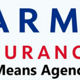The Means Agency