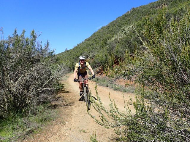 Road bike on online mountain trails