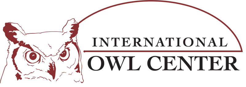 International Owl Center