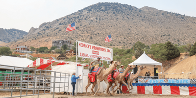 International Camel & Ostrich Races