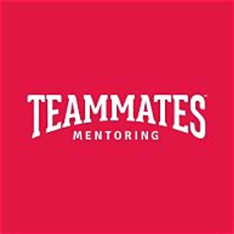 TEAMMATES Mentoring