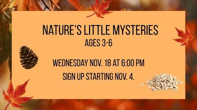 Nature's Little Mysteries-Preschool Stem Ages 3-6