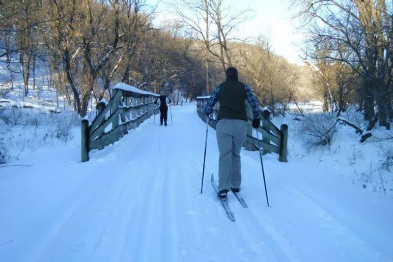 Two people cross-country skiing on the snow-covered Root River State Trail as they cross a wooden bridge surrounded by winter trees.