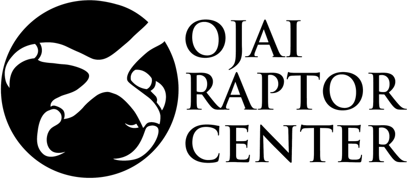 Ojai Raptor Center